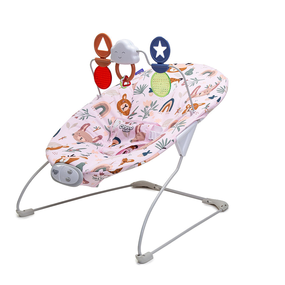 Cadeira de Descanso Bouncer Zeen
